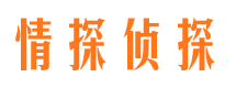 钦南市私家侦探